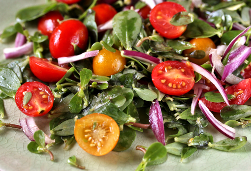 purslane salad with tomatoes and red onions
