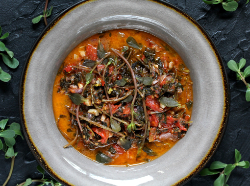 purslane stew in tomato broth